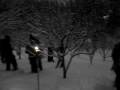 this is a gathering for the winter solstice and a wassail where toast is dipped into the drink and thrown through the orchard for next years crop.  the bowen island morris dancers did a thing to help out with the festivities