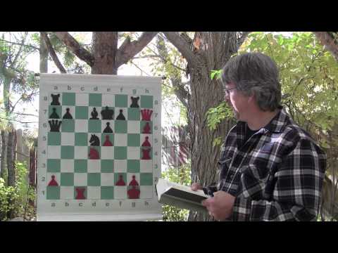 chess knight chess knight
