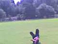 videos de wot a tit he stil can't do it.3gp