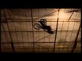 EVERMORE - VTT, Slopestyle, Dirt au Payerne Dirt Park EVERMORE - VTT, Slopestyle, Dirt au Payerne Dirt Park