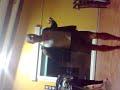 Sacho Gogo