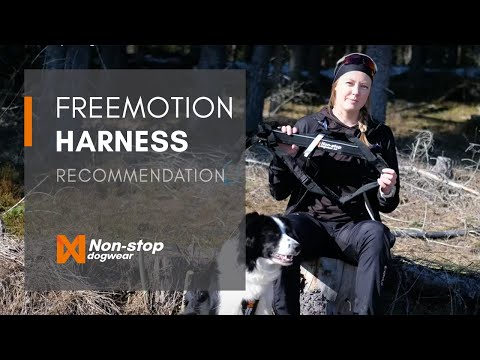 Non-stop Freemotion Harness