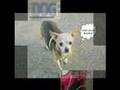 Juliet......In Loving Memory