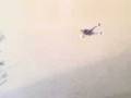 videos de MOV00003.3gp