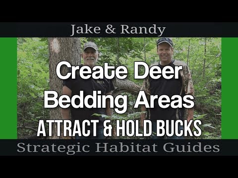 how to provide deer bedding areas