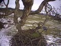 Silent snow