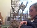 Squirrel\ Squirrel\