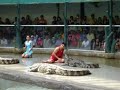 Crocodile Show, Sriracha, Thailand; Part 1 Crocodile Show, Sriracha, Thailand; Part 1