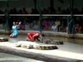 Crocodile Show, Sriracha, Thailand; Part 1
