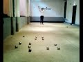 Training Day with Ivarsson