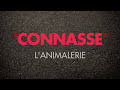 L'animalerie (Saison 1 Épisode 11)