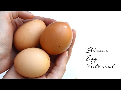 how to dye empty eggs