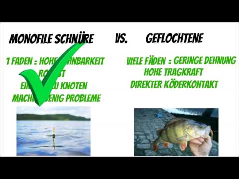 Angelausrüstung für Anfänger #3: Angelschnur, geflochtene Angelschnur oder monofile Angelschnur