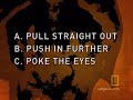 Survival Guide: Anaconda Bite Survival Guide: Anaconda Bite