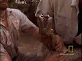 Survival Guide: Anaconda Bite