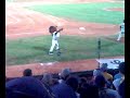 Leones del Caracas