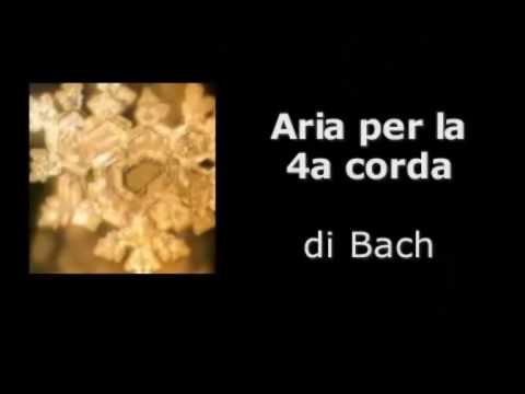 Immagine anteprima YouTube