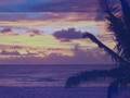 videos de ALESSANDRONI- 