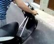jog malossi ke te kagas