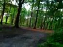 Goirle - het Bankven