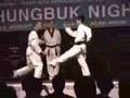 Idaho Taekwondo Demo View Video