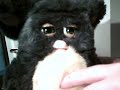 Furby