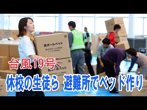 動画