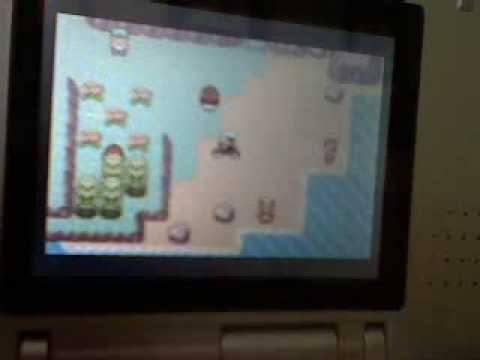 how to level up quick in pokemon emerald