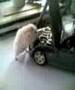 hamster meechanic - criceto meccanico