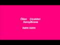 �l�m �i�ekleri SarayBosna KaTRe KaTRe