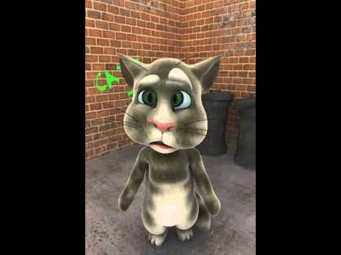 Tom Katt