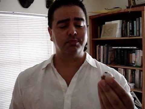 how to care for lychee plant