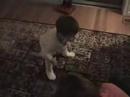 JBell First Steps