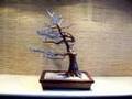 Bonsai Tree Sculpture #49 by Jim Shull