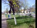 Drift Dacia vs Matiz Radu vs Catalin