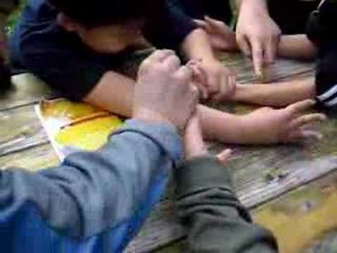 THEOPHILUS 07 Mini arm wrestling