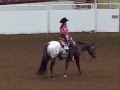 Inpassable '06 World Champion Western Riding