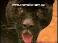 Part 1 Alien Big Cats - Animal X 1