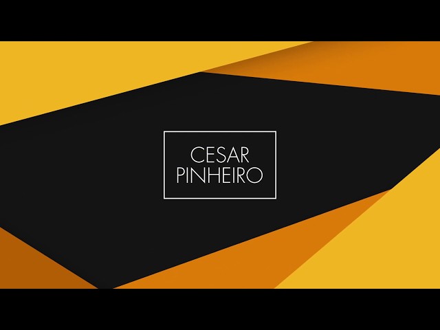 Palestra 