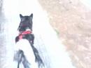 Kempes y Ori�n --- Passejant per Campoli ---