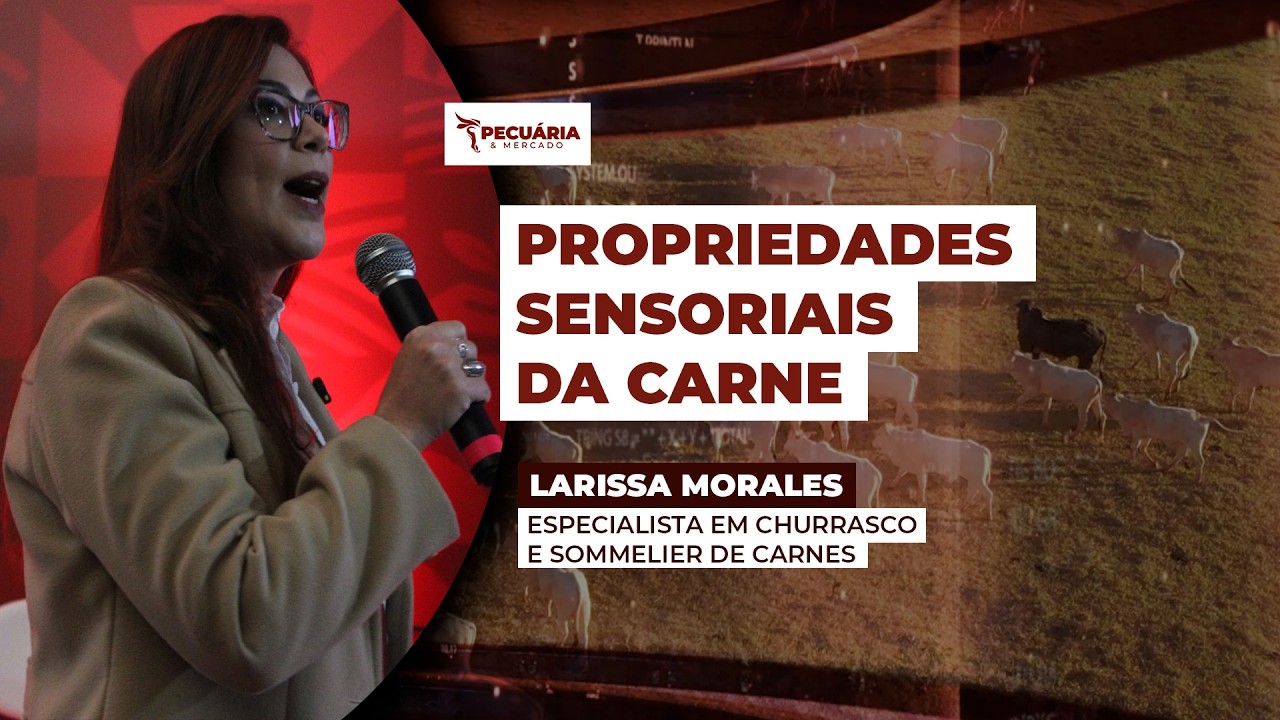 Primeira Sommelier de carnes do Brasil explica como identificar características que valorizam...