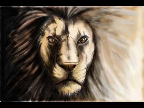 how to draw the face of a lion