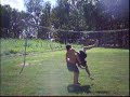 two kids fight