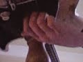 Simon Raven - The Beckoning ( bed-post rock ) Simon Raven - The Beckoning ( bed-post rock )