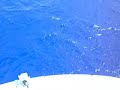 Explorer of the Seas: At the Bow of the Ship Explorer of the Seas: At the Bow of the Ship