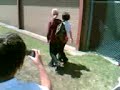 thomastown secondary colleage fight