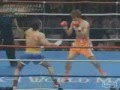 Serkan Yilmaz champion de Turquie de Taekwondo K1 video