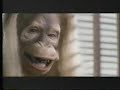 this is a commercial for the nintendo 64 game.