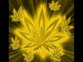 Ska_p - Cannabis