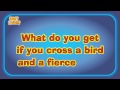 What do you get if you cross a bird with a fierce dog?